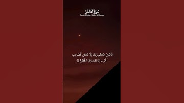 تلاوه خاشعه للشيخ ماهر المعيقلي سوره القلم #ماهر_المعيقلي #المعيقلي