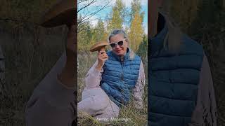 Белые грибы в березовой роще, октябрь 2025 Черногория