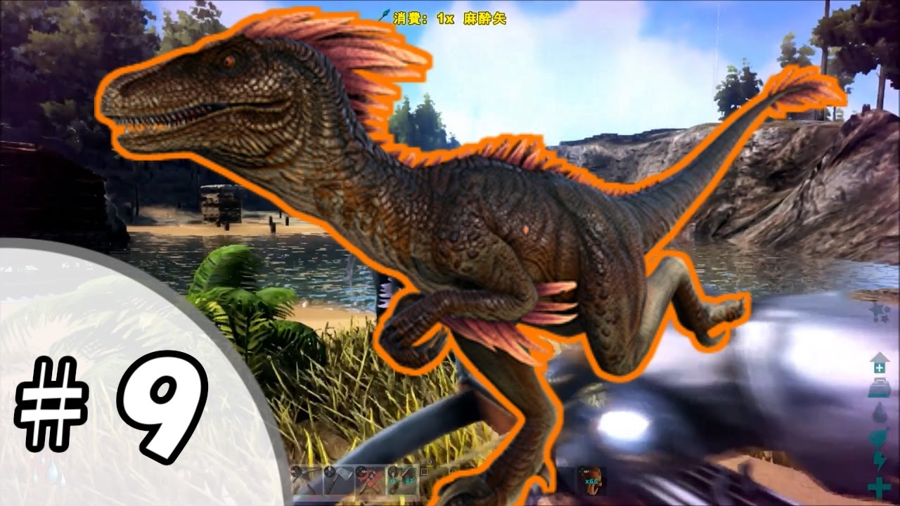 Ps4 のんびりアーク恐竜島生活 ９ ラプトルテイム Ark Survival Evolved Youtube