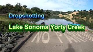Dropshotting Lake Sonoma Yorty Creek 4K