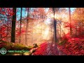 Wake Up And Listen Morning Music For A Great Start To Your Day 528Hz Wake Up And Listen Morning Music For A Great Start To Your Day 528Hz