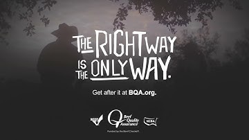 BQA The Right Way