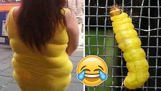 “Who Wore It Better” Pics That Will Make You Laugh