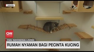 Rumah Nyaman Bagi Pecinta Kucing - CNN Indonesia Living