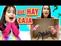 ¿Que hay en la CAJA? | What's in the Box? | Juega con Adri