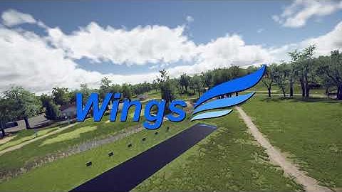 Wings Simulator - Wings has it all