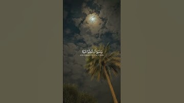 الشيخ مشاري العفاسي تلاوه هادئه من سوره البقره | حالات واتس اب قرأن مشاري العفاسي #قرآن #quran