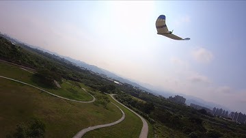 Chasing FTC hunter fixed wing DJI FPV