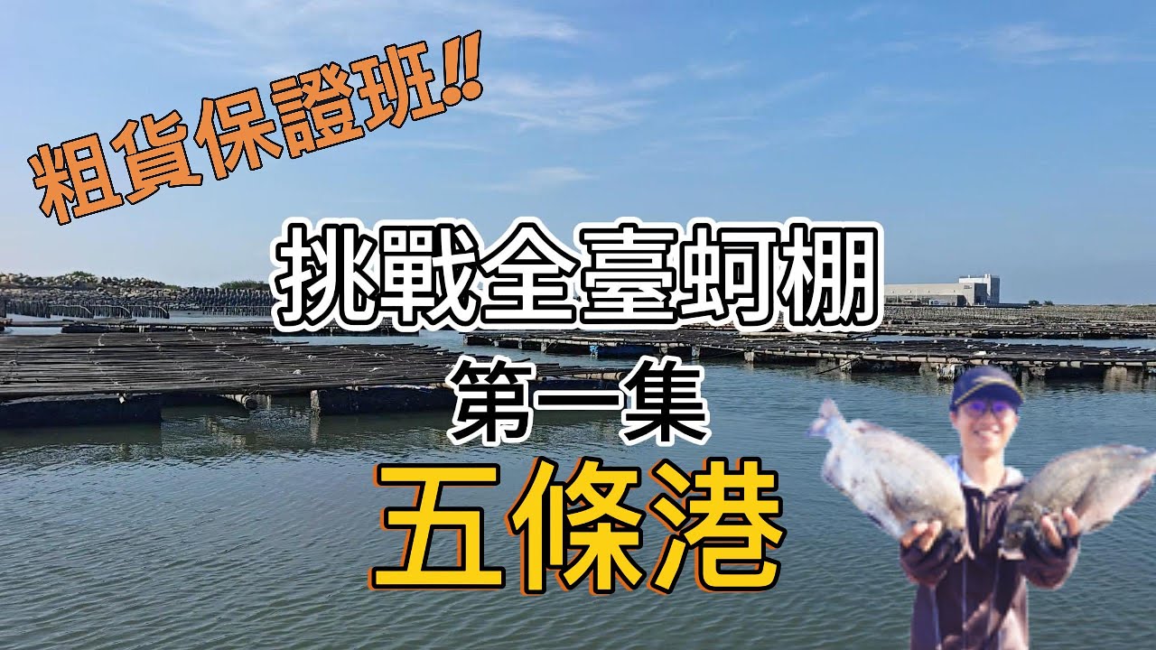 【挑戰全臺蚵棚第一集】狂拉大黑鯛！雲林五條港「黑格群」出沒！打粉+練餌成功K.O.大黑格 [析北愛釣魚]