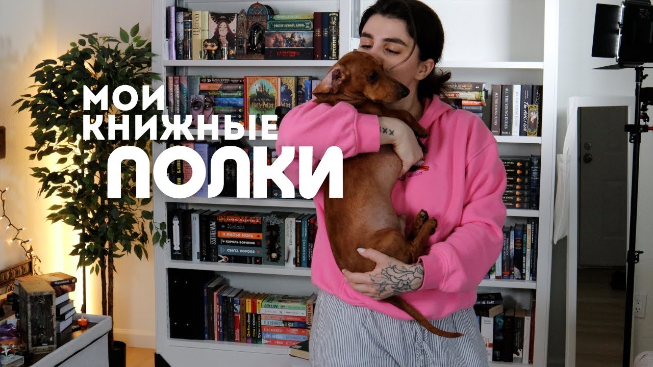 Мои КНИЖНЫЕ ПОЛКИ 🔥 Показываю ВСЕ свои книги 📚