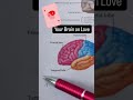 Our Frontal Lobe is working overtime this Valentine’s Day 💕🧠 Here’s what’s happening up there: