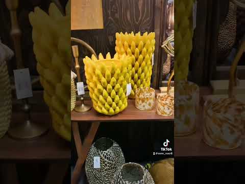رش الملح حول البيت