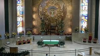 Memorial of Saint Pius X, Pope