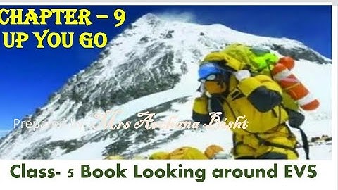 UP YOU GO हिंदी explanation | NCERT Class 5 EVS Chapter-9|