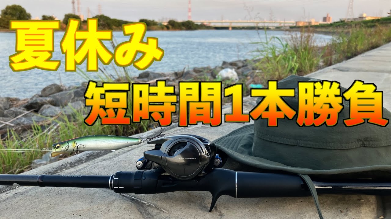 夏の夕まずめ短時間で魚釣れるのか（名古屋港河川、シーバス・バス釣り）