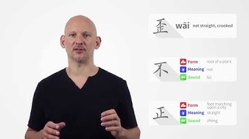 Semantic Components in Chinese Characters (Video #2)