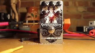 Catalinbread Dirty Little Secret Mk III Demo and Mode / Voltage Comparison