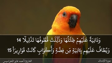 الصفحة 579 سورة الإنسان بصوت القارئ المهندس أحمد فايز الحراسيس
