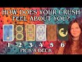  pick a card  how does your crush feel about you  psychic timeless tarot reading  channeling