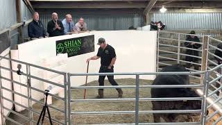 Shian 807 Lot 1 sells for $92,000