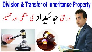 Division Of Inherited Property In Pakistan | Iqbal International Law Services®