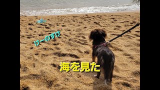 けーのすけ【ちわっくす】海を見た