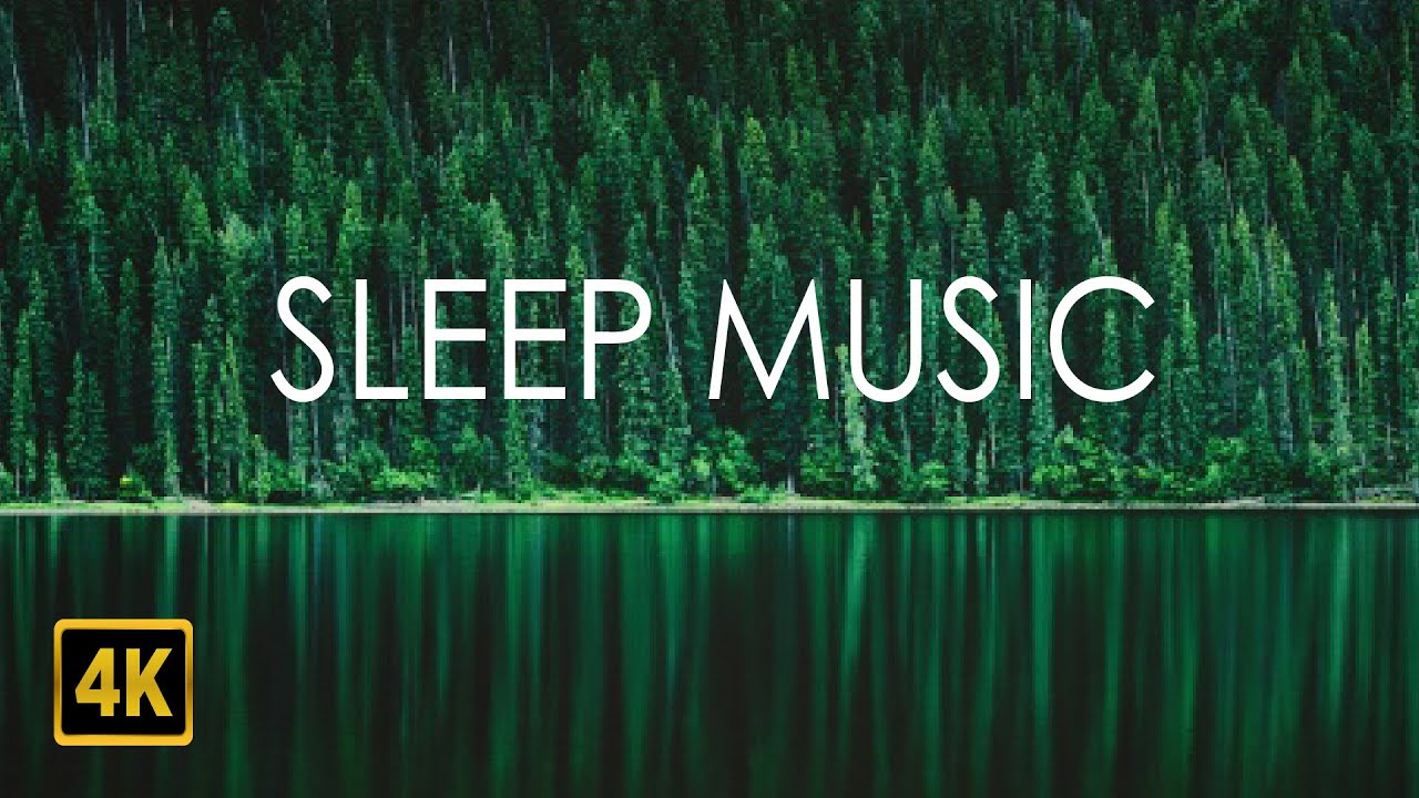 Explore the calming influence of Nature, Forest Music, Sleep Music ...