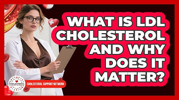 What Is LDL Cholesterol And Why Does It Matter? - Cholesterol Support Network