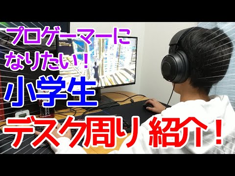 プロゲーマー プロゲーマーチームの一覧 いちらん屋 一覧屋