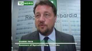 Regione Lombardia-Intervista Fava-Agricoltura