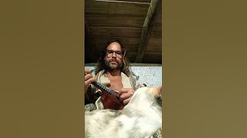 Thumbnail of ukulele song #ukulele #cat