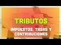 Tributos - Impuestos Tasas y Contribuciones 2022