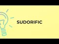 What is the meaning of the word sudorific