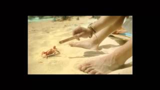 Surf-4-Life Surf Big Milk