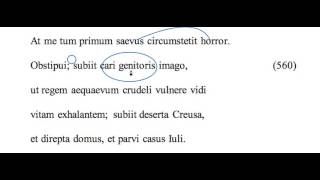 Aeneid 2.559-563 translation