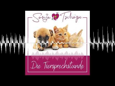 AV130: Werde zum Tierflüsterer - Die Tiersprechstunde - YouTube