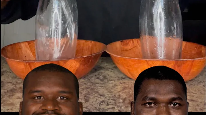 Shaq VS Hakeem Olajuwon