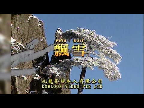 飘雪 I  粵語  I  流行金曲  I  伴奏  I   KTV I KARAOKE版