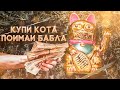 CASH BATTLE. ПРОДАЖА КОТОВ В ИНТЕРНЕТЕ. ВЕБ ВИТРИНА