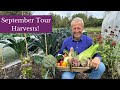 September Tour - vegetable&#39;s sweetness| Edging| Rhubarb and composting| Charles Dowding