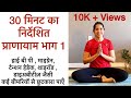 30 मिनट का निर्देशित प्राणायाम | 30 Minutes pranayama session in hindi | प्राणायाम का सही क्रम