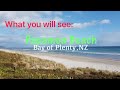 What you will see at papamoa beach resort