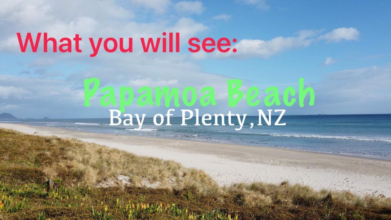 What you will see at Papamoa Beach Resort