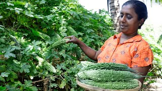 &quot;Unleash the Flavor: Bitter Gourd Cooking Tips and Tricks&quot; .village kitchen recipe