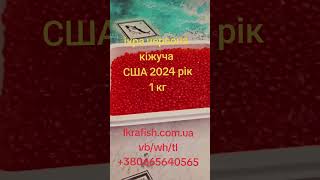 Ікра червона кіжуча 1 кг, США АЛЯСКА 2024 рік, #ікрачервона #ікракіжуча #делікатеси #крабовемясо