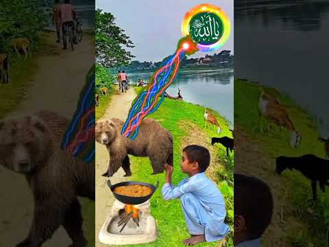 Beautifu Islamic Status On Muslim 4K Allamah Lslamic Lslamic Allama Yousuf Islamicvideo Alla