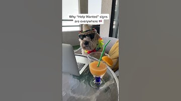 Summer Jobs Anyone? 🐶 @TheJessiiShow #TheManniiShow.com/series