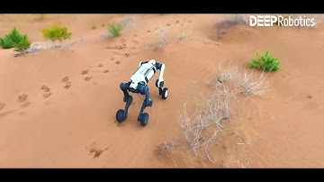 Lynx M20 Robot Dog Through the Desert