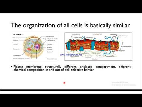 Biologi Dasar - Sel