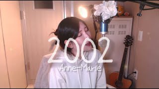 Anne Marie - 2002 COVER BY HYUNEE